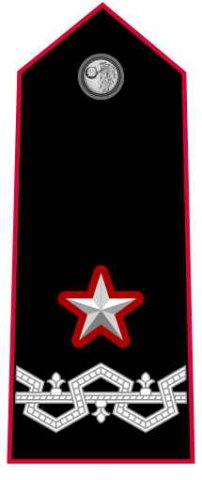 Generale di Brigata con incarico di comando