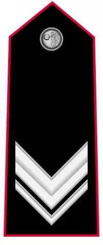 Vice Brigadiere