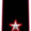 Generale di Brigata con incarico di comando