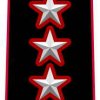 Colonello con incarico di comando