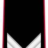 Vice Brigadiere
