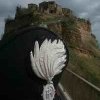 Bagnoregio