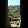 Blera